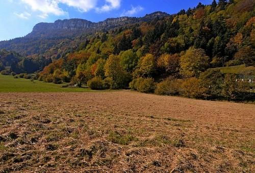 valle del chiese