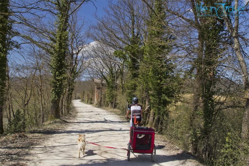 bicicletta carrellino e nala