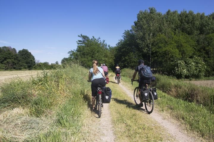 bicicletta nella pianura