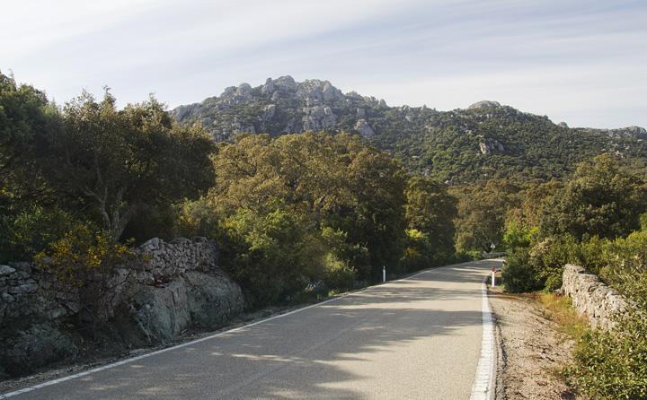 gallura in sella