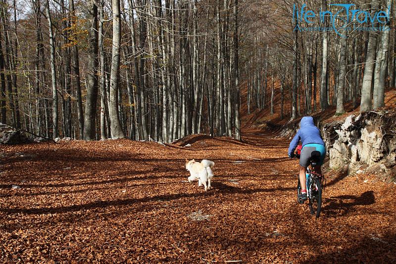 via silente in bici 10