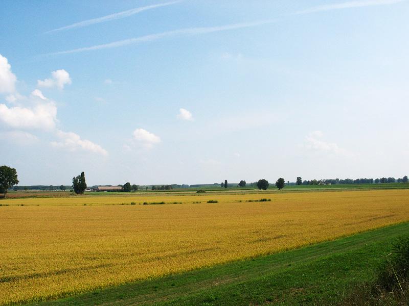 campagna francigena