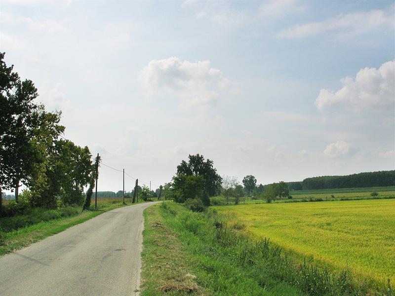 lungo la via francigena libert