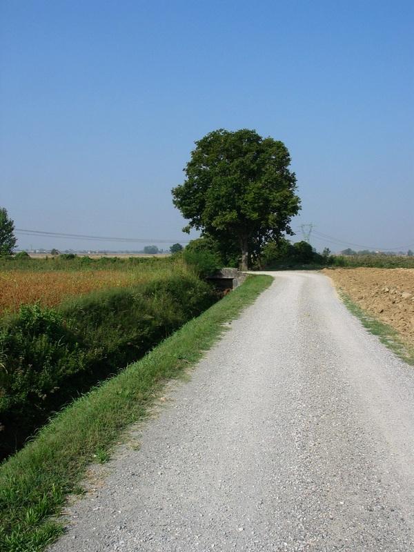 strada chiaravalle della colomba