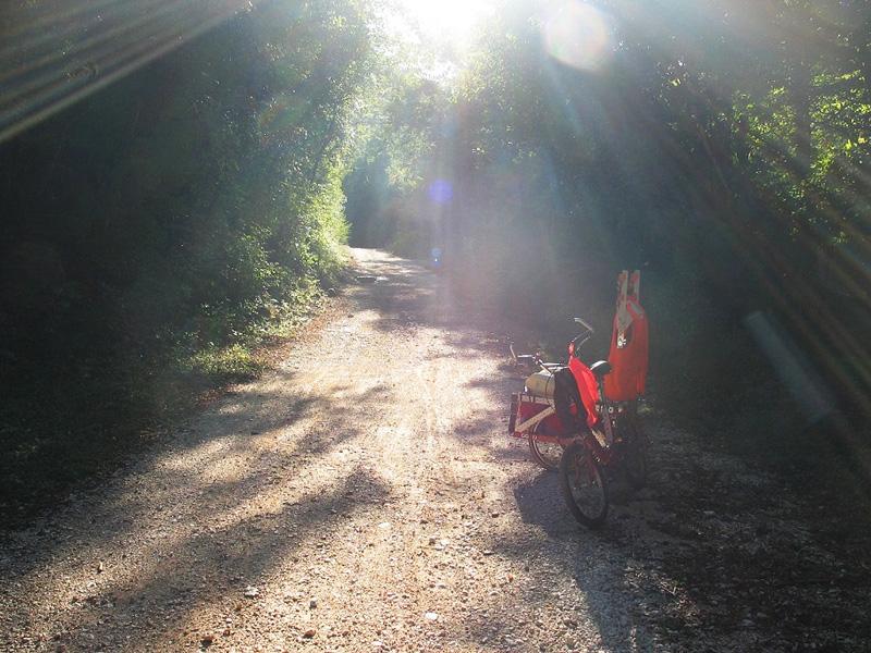 romita di cesi in graziella