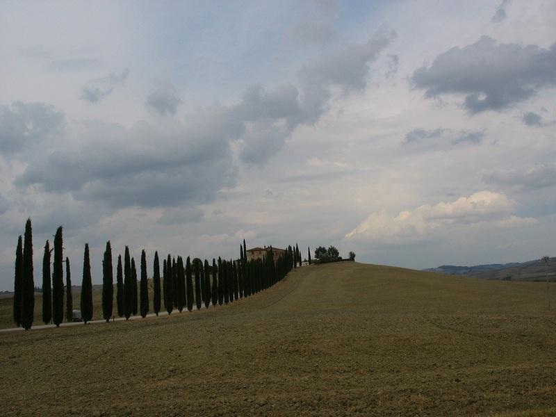 collina toscana