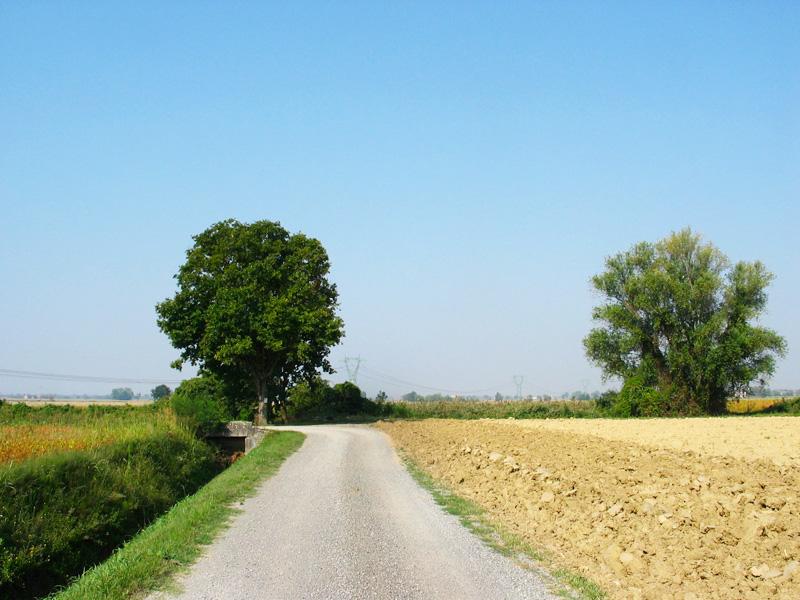 la strada in bici