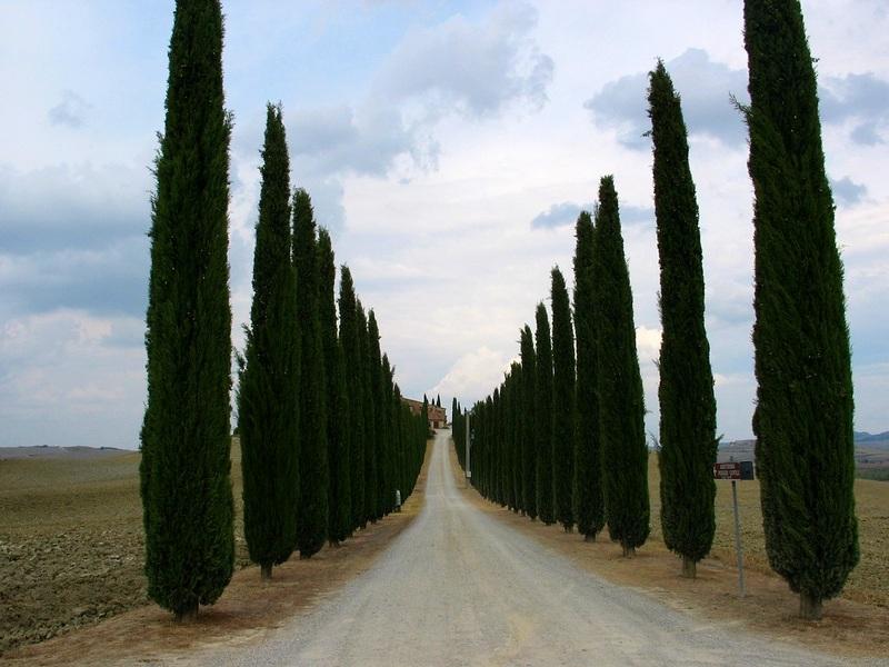 toscana in bici