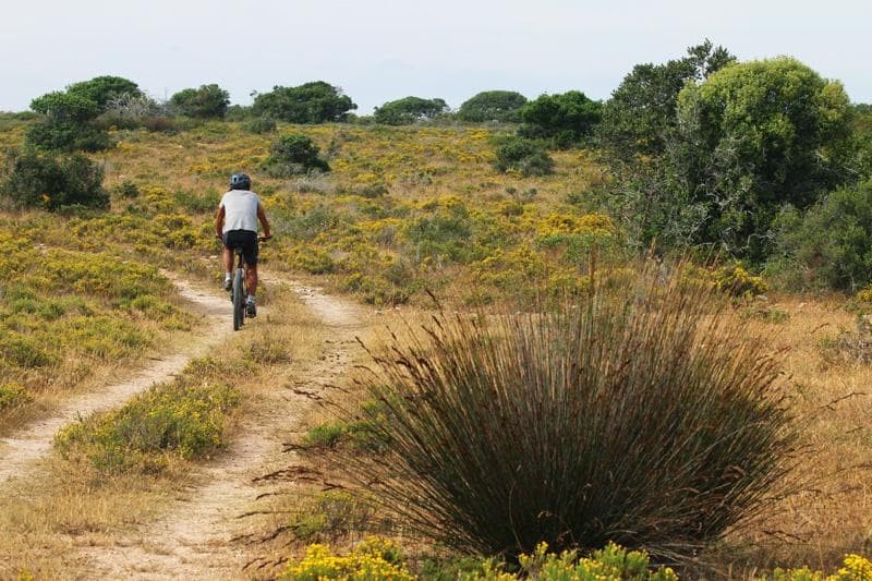 mtb de hoop nature reserve