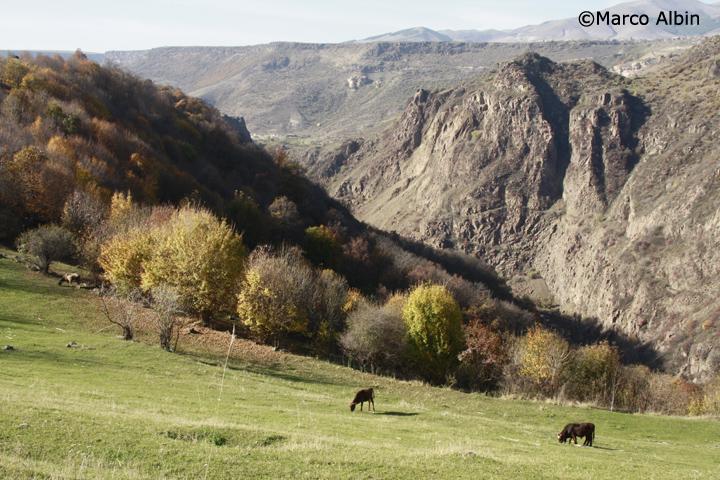 armenia paesaggio