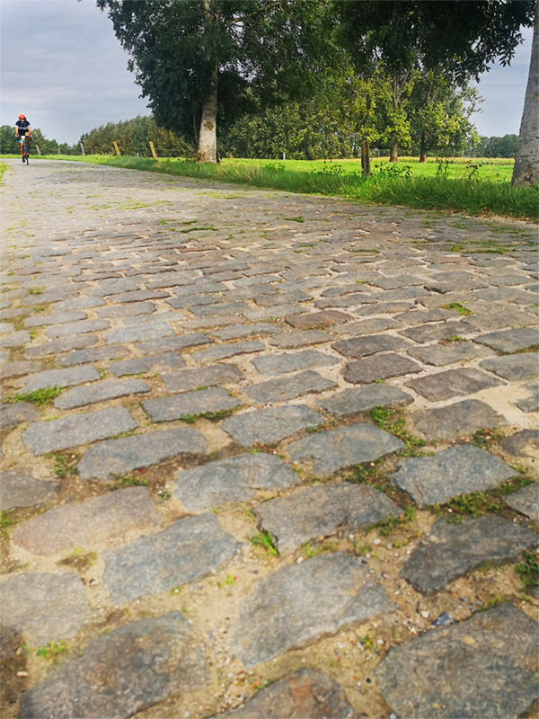 pedalando sul pave