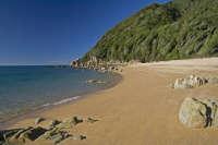 Abel Tasman coastal track