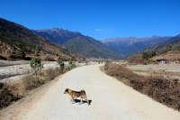 Bhutan