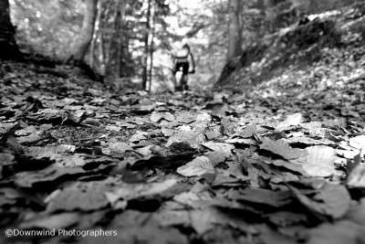 Nel bosco in mountain bike