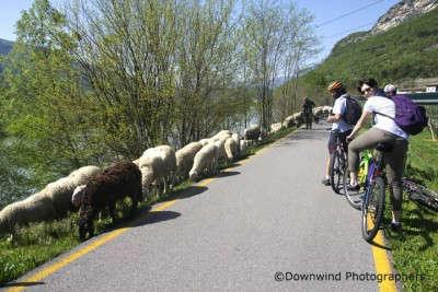 Trento Rovereto in bicicletta