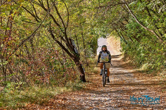 Migliori bici gravel