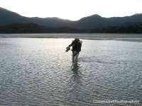 Trekking Abel Tasman National Park