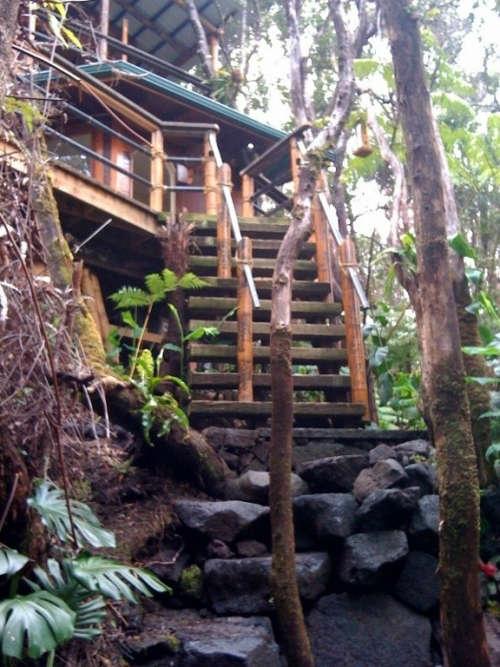 Casa sull&#039;albero alle Hawaii