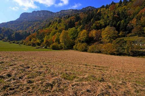 Valle del Chiese