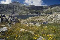 Lago della Vacca e rifugio Tita Secchi