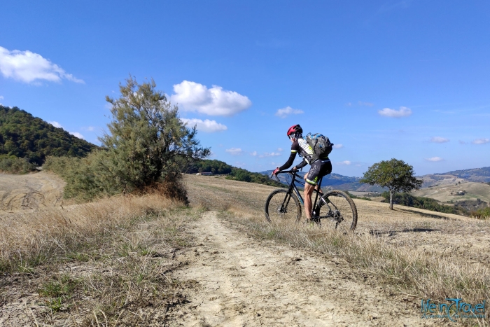 Gravel bikes