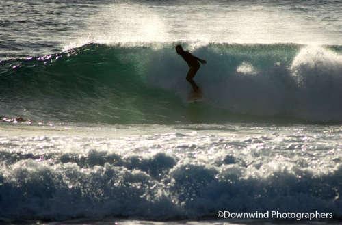 Surfer in Australia