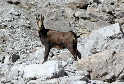 Parco Naturale Dolomiti Friulane