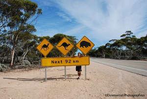 Strada nella Nullarbor plain Australia