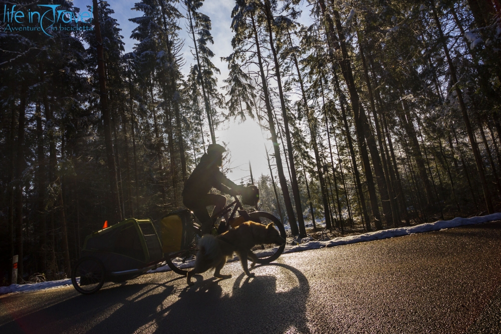 Czech Republic Bike Tour