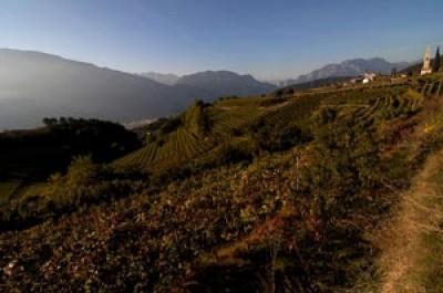 Trekking urbano sulle colline di Trento